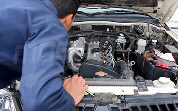 فحص البضائع